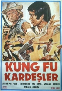 Kung Fu nel pazzo West