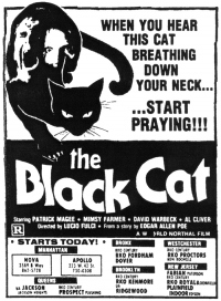 Il gatto nero