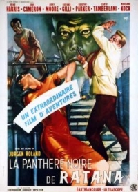 Der schwarze Panther von Ratana