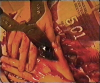 Avaruuden teurastajat